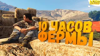 10 ЧАСОВ РАБОТЫ ФЕРМЕРОМ в GTA 5 RP | ФЕРМА С НУЛЯ