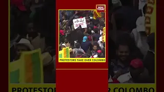 WATCH: Protestors Completely Surround Presidential Secretariat In Sri Lanka's Capital #shorts