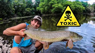 Passaic River Sewer Fishing for GIANT Pike and BASS - The Swamps of New Jersey