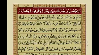 Surah al taubah.with urdu translation. Mishary rashid alafasy