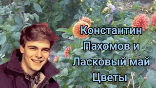 Костя Пахомов ( Ласковый май) - Цветы ( не официальный клип ).