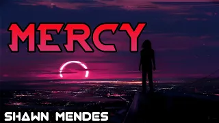 Mercy - Shawn Mendes {1 Hourloop}