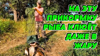 На такую прикормку рыба клюёт даже в жару! Рыбалка на фидер летом. #Рыбалка #фидер  #лещ