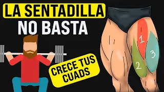 Como Entrenar Los Cuádriceps Para El Mejor Crecimiento!!