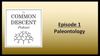 Episode 1 - Paleontology