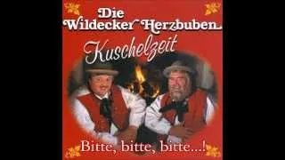 Die Wildecker Herzbuben - Bitte, bitte, bitte [Dieter Bohlen song] [HD/HQ]