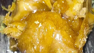 How To Press Exotic Rosin (Kush Mints / Devil Driver X Zero Gravity) Watch Exclusive Video Now !