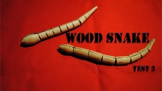 Wood Snake - Test 2