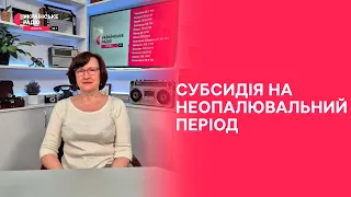 Субсидія на неопалювальний період | Полудень