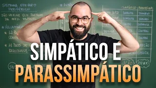 Sistema Nervoso Voluntário e Autônomo | Simpático e Parassimpático - Aula 38 - Mód. 7: Fisio Humana