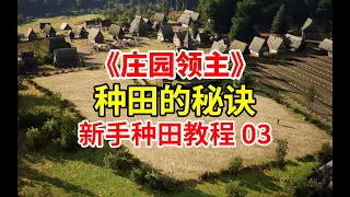 牛不如人？如何高效种田？《庄园领主》从零开始新手攻略#3！中世纪详细种田教程！| MANOR LORDS