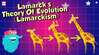 Why Does Giraffe Have a Long Neck? | Theory Of Evolution | The Dr Binocs Show | Peekaboo Kidz