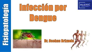 Infeccion por Dengue. parte 1 |MediNIC| Fisiopatologia y Tratamiento