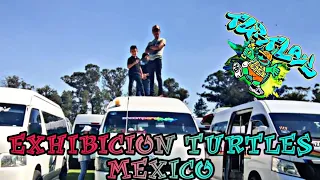 EXHIBICION TURTLES MÉXICO algo muy diferente #eltuningnuncamuere #turtlesmexico #toyota #nv #urvan