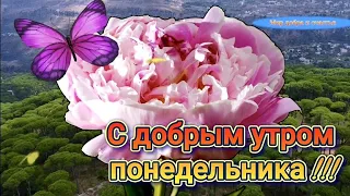 Доброе Утро Понедельника 28 Марта! Красивейшая Песня Только Послушайте!Дай нам Бог Здоровья иСчастья