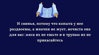 ДОКТОР ЗАКИР НАЙК СВИНИНА ЕСТЬ ЗАПРЕЩЕНО 🚷 ГОТОВИТЬ 👍👍👍👳‍♂️❤️🌹