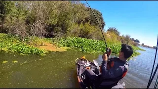 FROG and PUNCH action on the Cal Delta