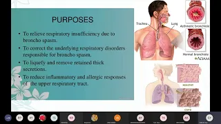 Nebulisation Procedure | Class- GNM 1st year | Metro College of Nursing