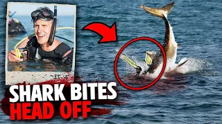 These 3 Divers Get DECAPITATED By A Man-Eating Shark!