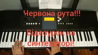 Червона рута! Відеоурок на синтезаторі/фортепіано/piano! Ukrainian Song!