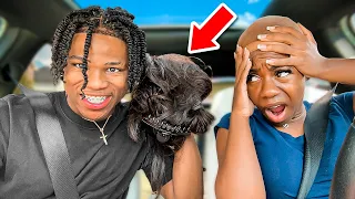 STARTING AN ARGUMENT WITH MY GIRLFRIEND THEN SNATCHING HER WIG OFF *HILARIOUS**