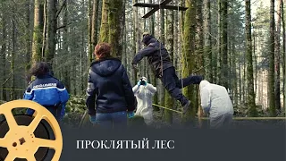 ПРЕМЬЕРА! Проклятый лес (детектив, триллер, преступление) / Les Bois maudits