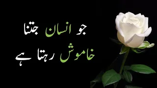 Jo Insan Jitna Khamosh Rehta hy/Achi Batein/Urdu Whatsapp Poetry Status