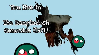 Mr Incredible Becoming Uncanny (Mapping) - You live in: The Bangladesh Genocide of 1971