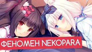 ФЕНОМЕН NEKOPARA