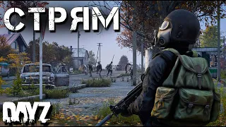 Повыживаем? DAYZ СТРИМ. FROZEN WALL