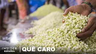 Por Qué El Aceite De Jazmín Es Tan Caro | Qué Caro | Business Insider