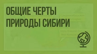 Общие черты природы Сибири. Видеоурок по географии 9 класс