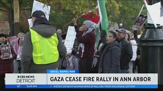 Hundreds gather for rally in Ann Arbor calling for ceasefire in Gaza