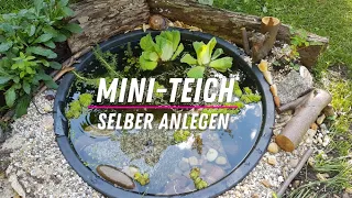 ☯ Mini-Teich selber anlegen ☯