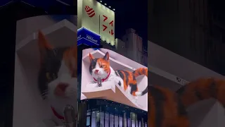 Giant 3d cat billboard, Shinjuku, Tokyo, Japan
