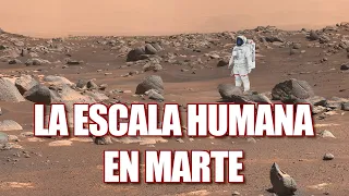 LA ESCALA HUMANA EN MARTE - Mars Perseverance & Curiosity