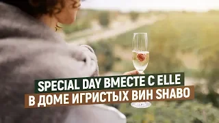 Экскурсия Центр культуры вина Шабо. SHABO & ELLE