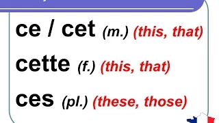 French Lesson 93 - Demonstrative Adjectives THIS THAT - Adjectifs démonstratifs CE CET CETTE CES.