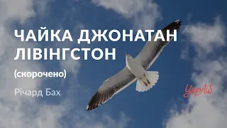 Річард Бах — Чайка Джонатан Лівінгстон скорочено