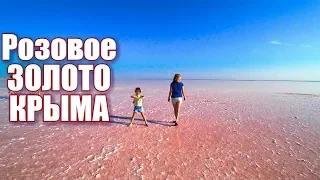 Crimea. Where is the PINK LAKE? Crimean pink salt.  Vacation in the Crimea 2018