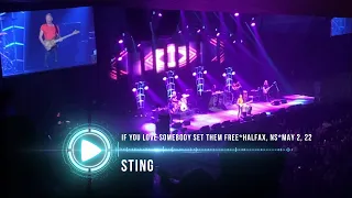 Sting - If You Love Somebody Set Them Free - May 2, 2022