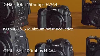 Panasonic GH5: What We Don't Love (Launch Review)