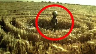 Crop Circles Decoded: Top 5 Messages Aliens Are Sending Us (The Truth is Scary!)