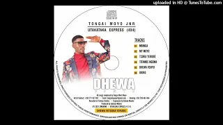 TONGAI MOYO JNR[DHEHWA VENYU ALBUM-MIXTAPE BY DJ WASHY MIXMASTER