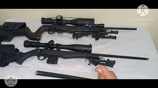 17HMR  vs  22WMR  vs  22LR - Comparação