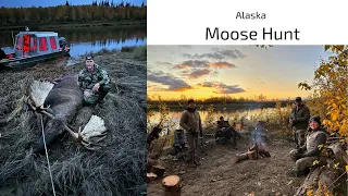 Alaska Moose Hunt 2023