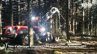 Une tête d’abattage Komatsu C164 à quatre rouleaux à l’œuvre dans une éclaircie très tardive