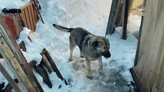 ИЗ БОЛЬНИЦЫ ДОМОЙ.ГОТОВИТСЯ К ПЕРЕЕЗДУ.ЖИВЕМ В ДЕРЕВНЕ🤷‍♀️🙏#жизнь простых людей#подготовка к лету#