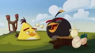 Сердитые птички Angry Birds Toons 3 сезон 9 серия Возрастной гнев все серии подряд