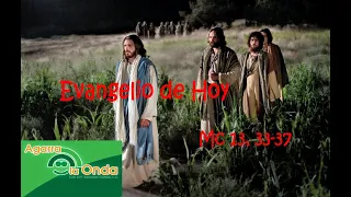 29 Noviembre 2020-Domingo 1º Adviento-Ciclo B-Mc 13, 33-37-El alerta no es sólo para los viejitos.